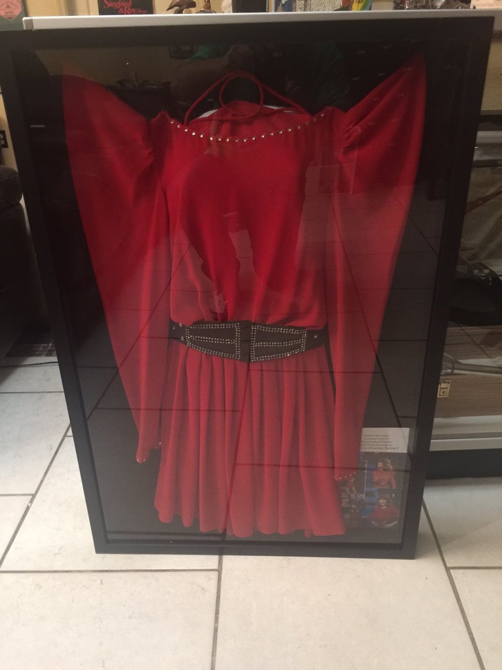 Debbie Henning Costume
