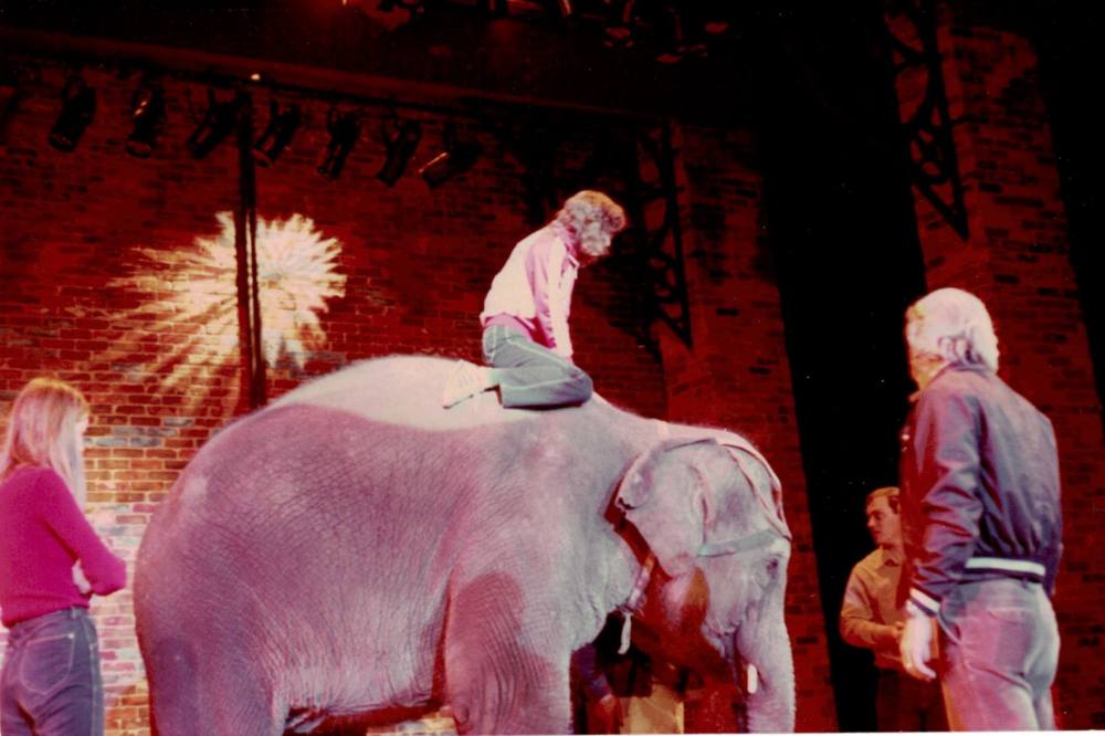 34502284_1197393237070547_5992666966442115072_n