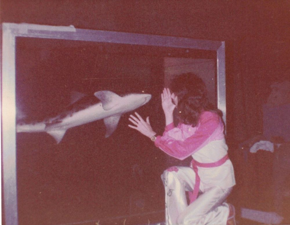 34822141_1198184240324780_8894163141508726784_n