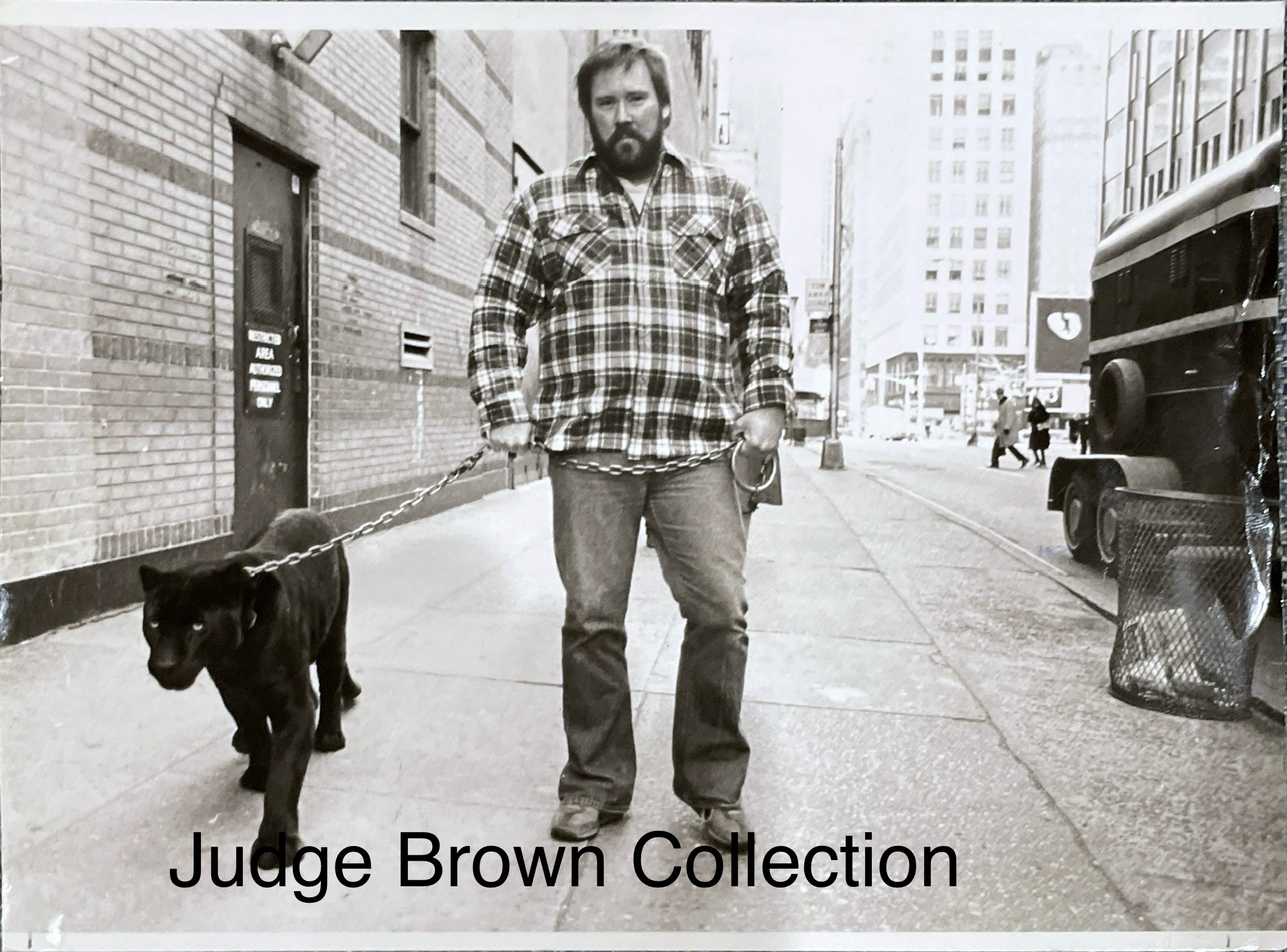 Kaboe The “Merlin” Panther Article/Photo – THE DOUG HENNING PROJECT